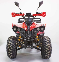 Электроквадроцикл Green Camel Атакама T500 (60V 1500W R8 Дифференциал)