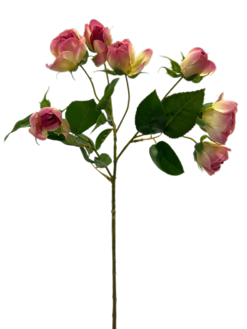 Роза спрей розовая 55 см