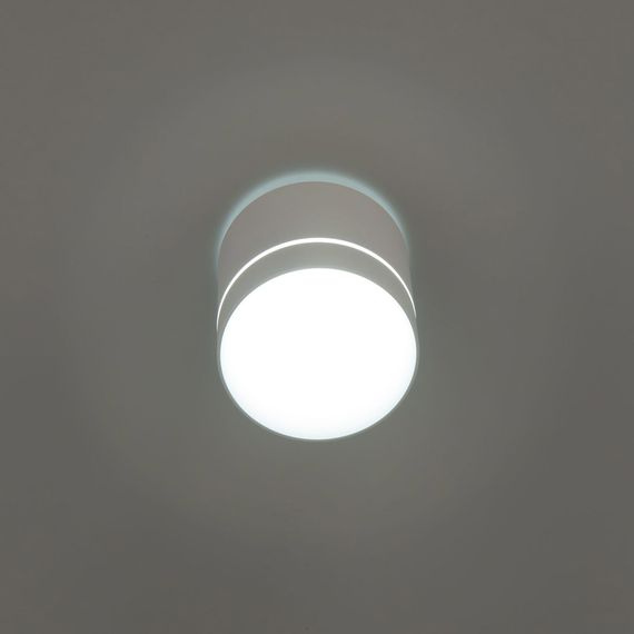 Потолочный светодиодный светильник Citilux Борн CL745020N