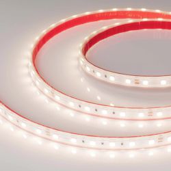 Светодиодная лента герметичная RTW-PS-B60-12mm 24V Day4000 (14.4 W/m, IP67, 5060, 5m) (Arlight, 14.4 Вт/м, IP67) 021398(2)