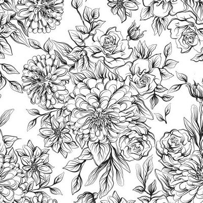 Roses  black line