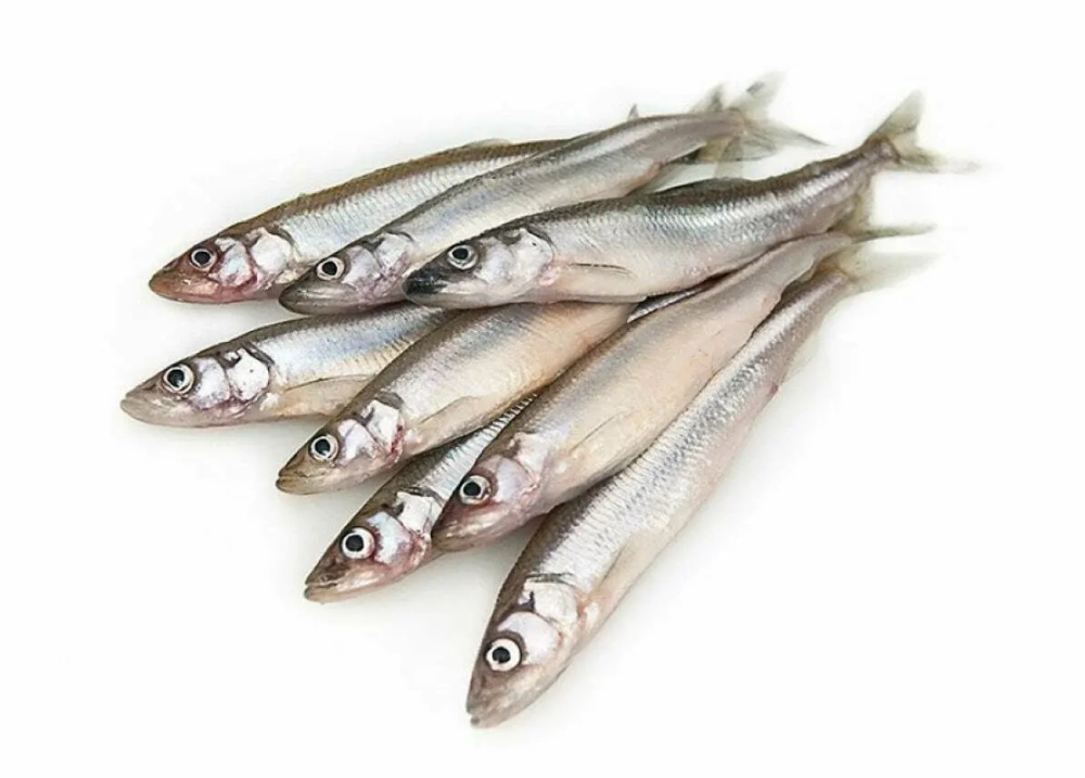 Мойва с/м н/р 25-35 ООО "Восемь" 1/20кг