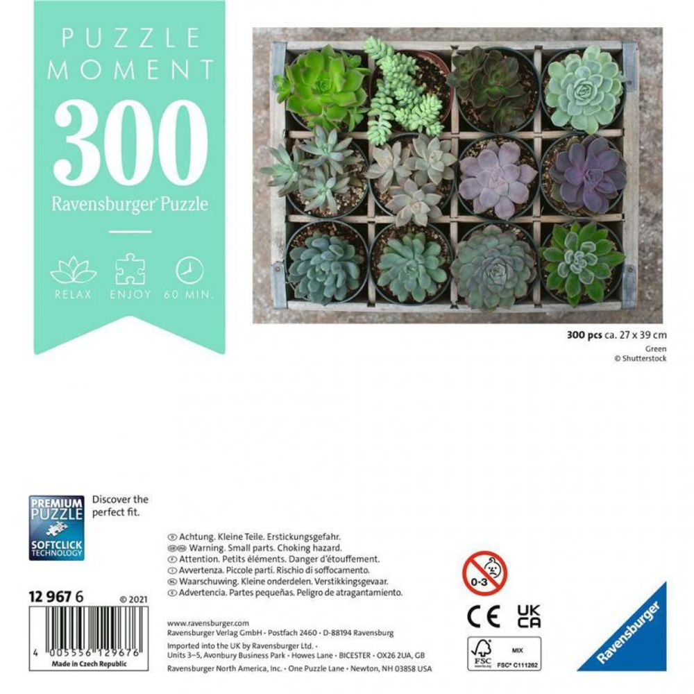 Puzzle Moment Plants 300 шт. 129676