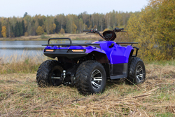 Квадроцикл Irbis ATV 200 куб/см 12 л.с. колеса 10" с ПСМ