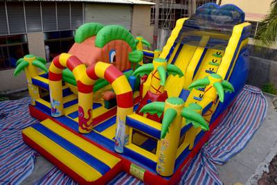 Надувной батут "Тропикана мини", 8.5*6.5*5 м