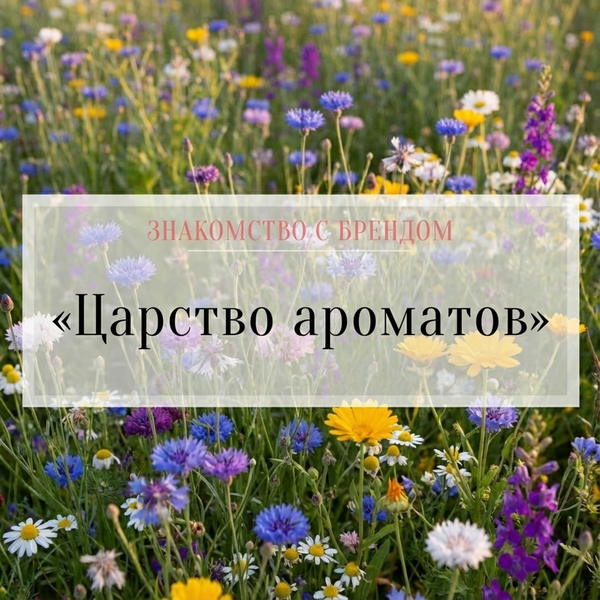 Знакомство с брендом: "Царство ароматов"