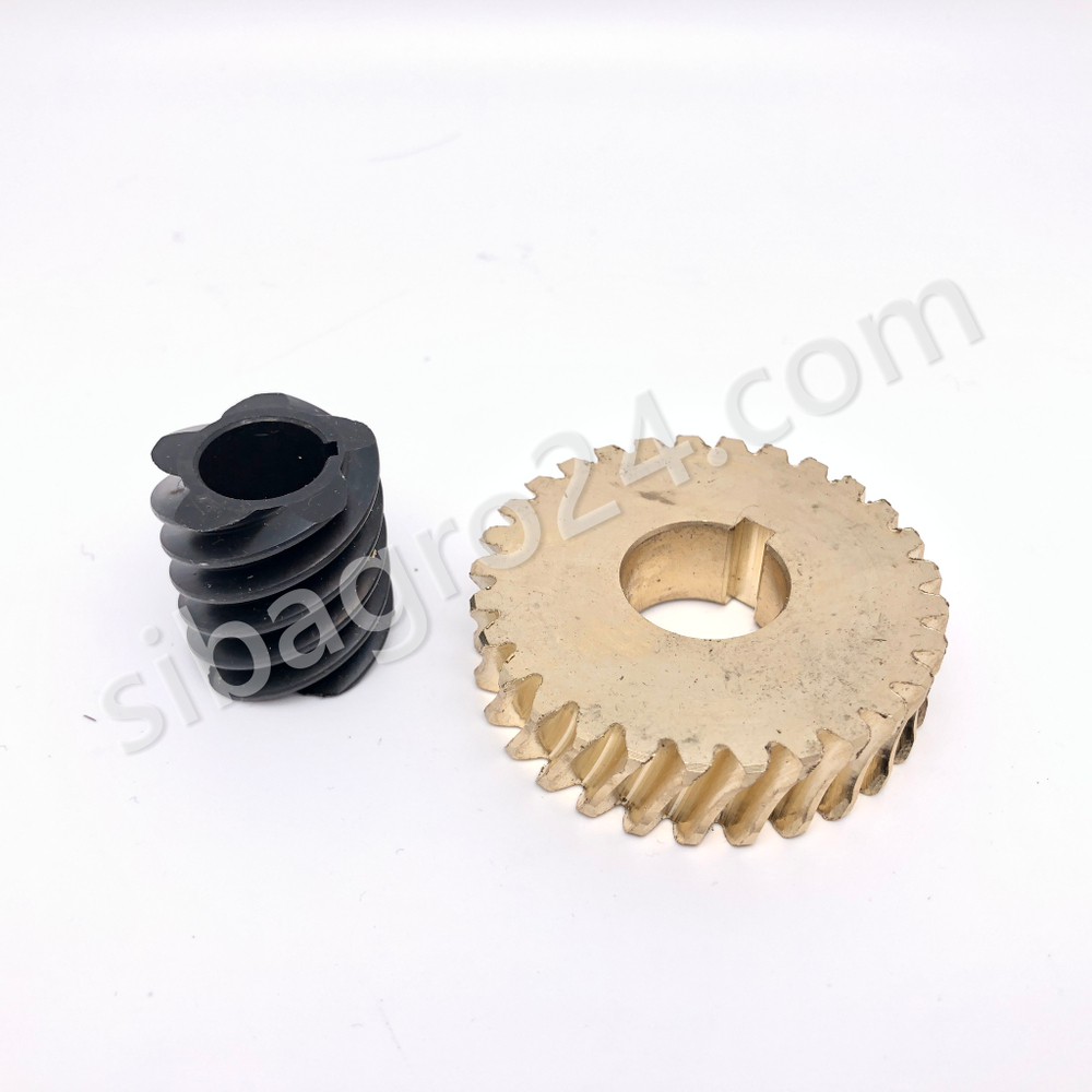 Червячная пара в редуктор миксера B-20B Foodatlas Eco