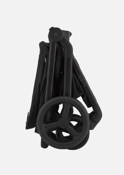 Anex Детская коляска Flo 2 в 1 Lungo