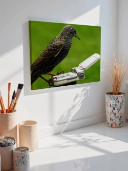 Картина на стену 40 X 50 Скворец