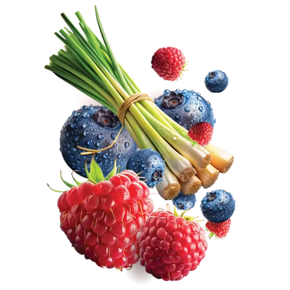 HIT - Berry Pop (МАЛИНА, ГОЛУБИКА, ЛЕМОНГРАСС) (30г)