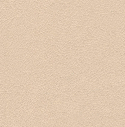 Искусственная кожа Борнео бейж (Borneo beige)