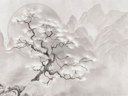 Коллекция BUSIDO