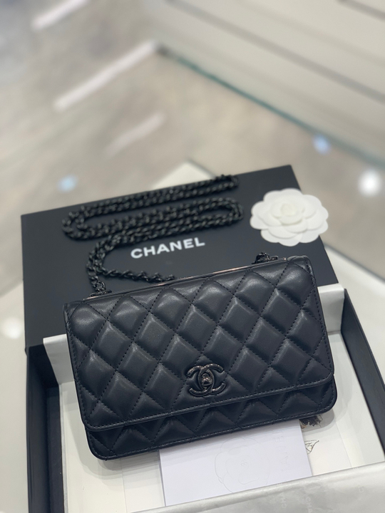 Chane1 WOC 19 cm
