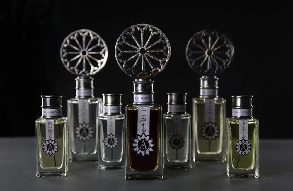 Angela Ciampagna Ducalis