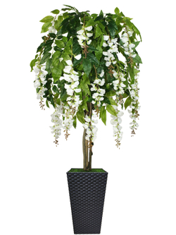 Искусственное дерево Акация белая 150см в высоком коричневом кашпо ротанг