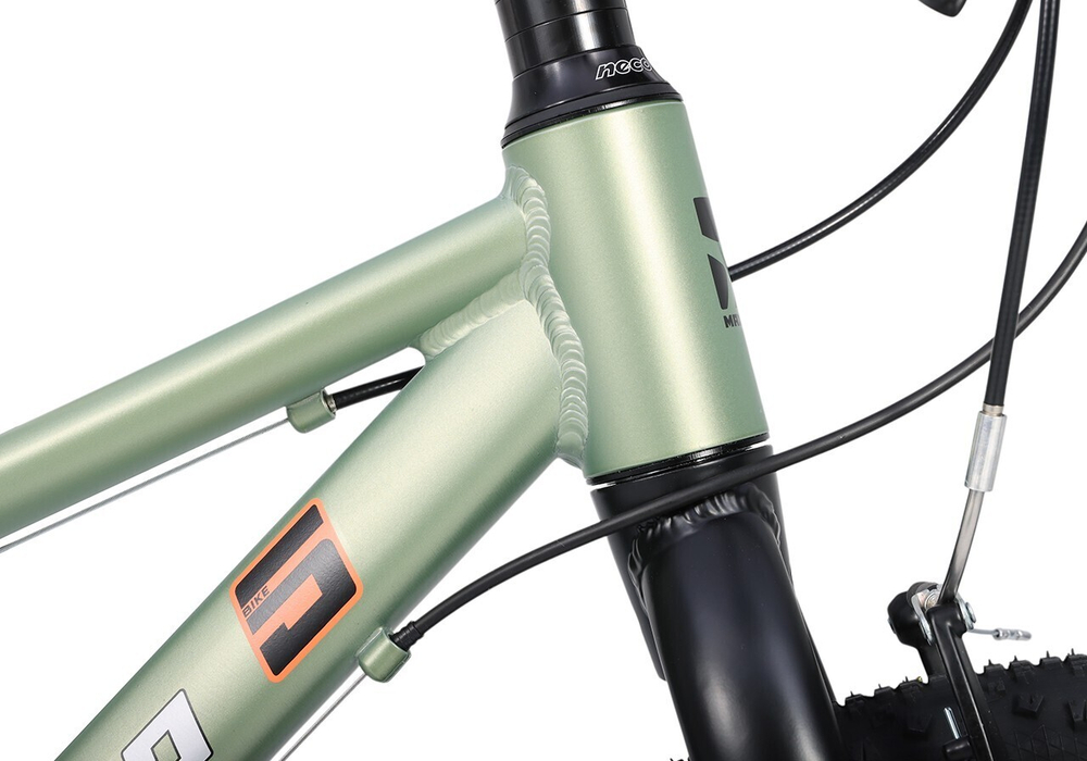 Maxiscoo 5BIKE 24'' M200 (2025)