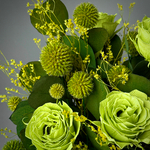 «Лайм» - композиция из стабилизированных цветов