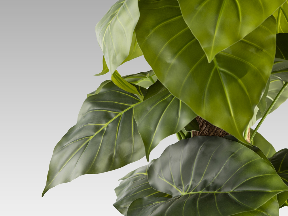 Taro Искусственное растение H150