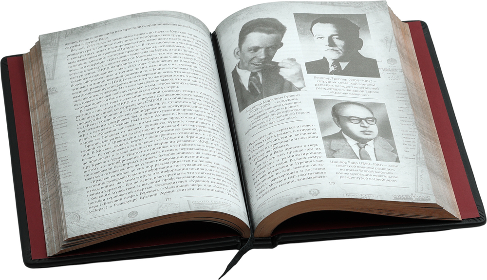 Разведка и Кремль. Записки нежелательного свидетеля