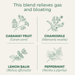Traditional Medicinals, Organic Gas Relief, ромашка и мята, без кофеина, 16 упакованных чайных пакетиков, 24 г (0,85 унции)