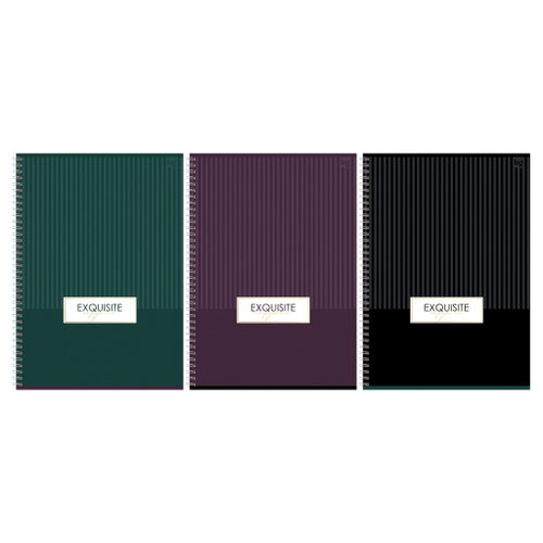 Тетрадь 96 л. А4 клетка гребень БИДЖИ Минимал (Т4гр96_лг_тф 08662)