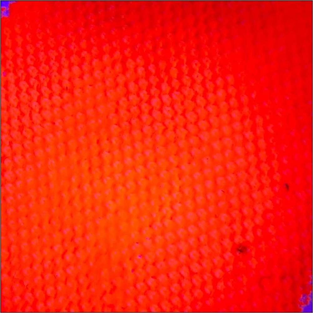 Краска по ткани и обуви, одежды акриловая флуоресцентная «Оранжевый неон»