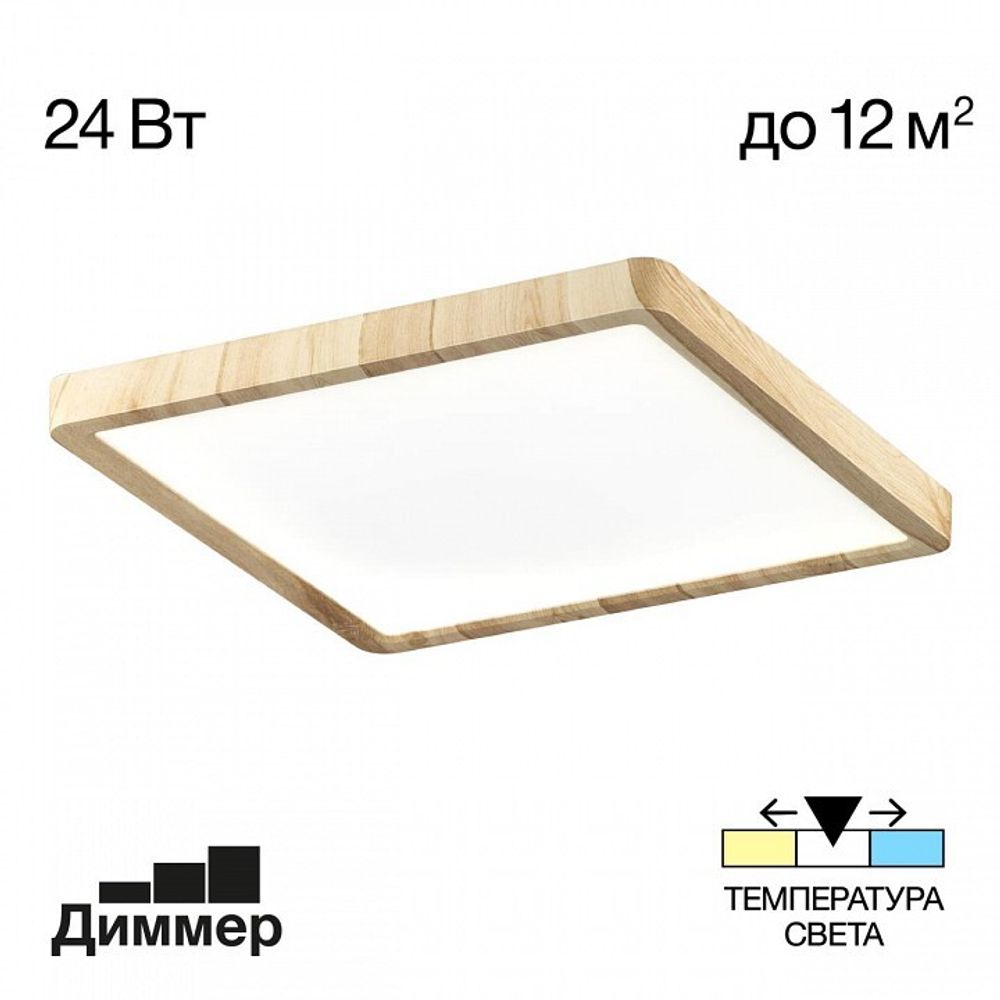 Накладной светильник Citilux Бейсик CL738K242V