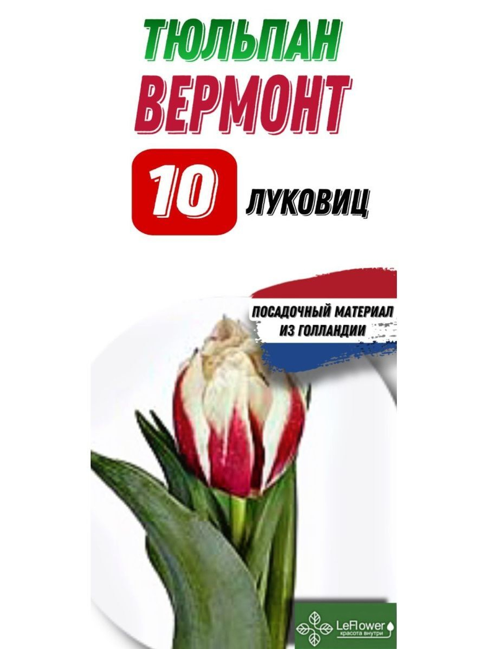 Тюльпан Луковица, Вермонт, 10шт