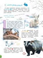 Энциклопедия для мальчиков и девочек. Наша природа