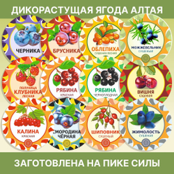 Полынь лимонная пучок, 1 шт.  ПЛПЧ-00-001