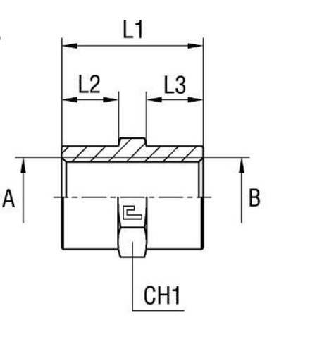Соединение PS BSP 3/8" BSP 3/8"