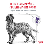 Royal Canin Neutered Adult Medium Dogs Корм сухой для взрослых стерилизованных кастрированных собак старше 12 месяцев 3,5 кг