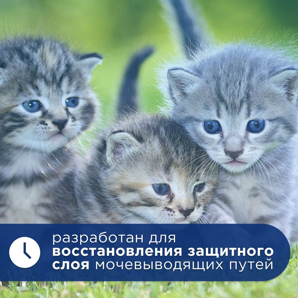 Фуринайд флакон. 150 мл.