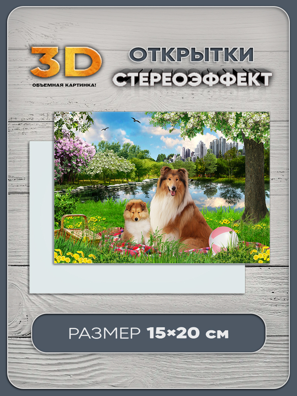Стереомагнит с 3D-эффектом "Собаки колли"