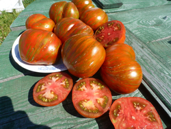 Помидоры - Berkeley Tiy Dye Heart - Сердце в стиле Тай Дай