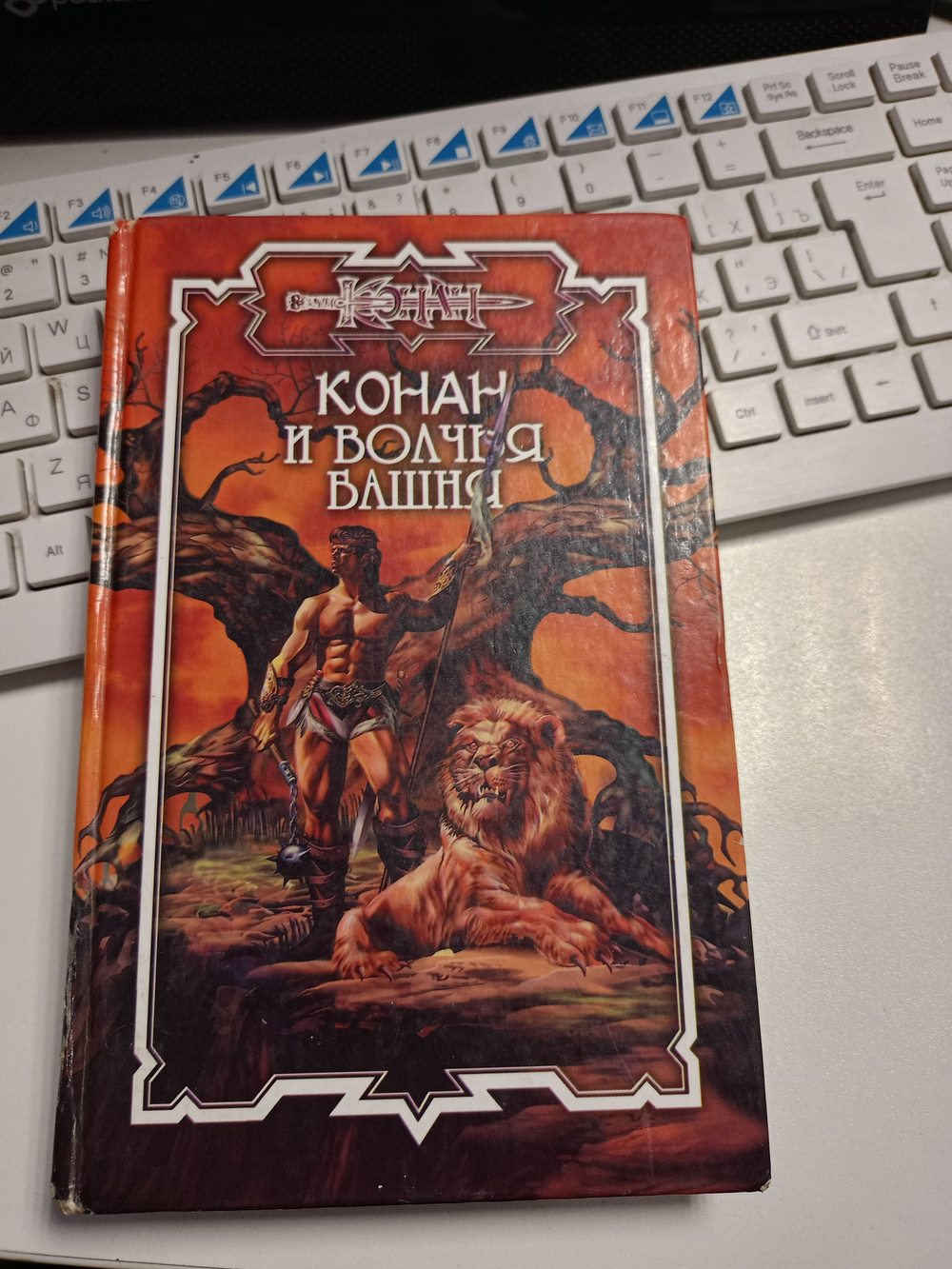 Конан и Волчья башня