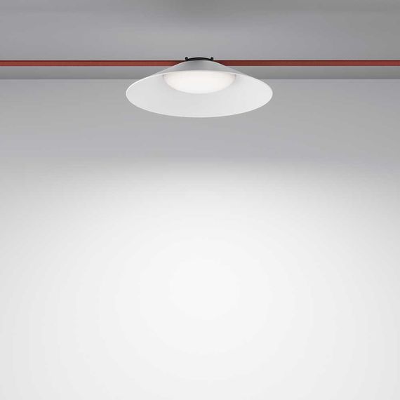 Подвесной светодиодный светильник Maytoni Technical Pendant system Parity Campana TR127B-12W4K-W