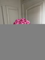 Гортензия в ярко-розовом оттенке