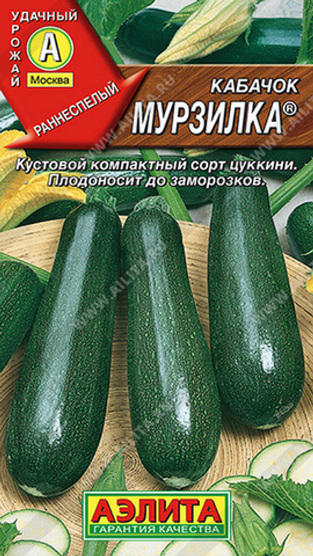 Кабачок "G. Мурзилка" 1г., Россия.