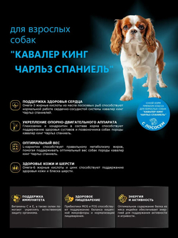 Корм сухой для взрослых собак породы Кавалер кинг Чарльз спаниель, с лососем, 12 кг, QUATTRO