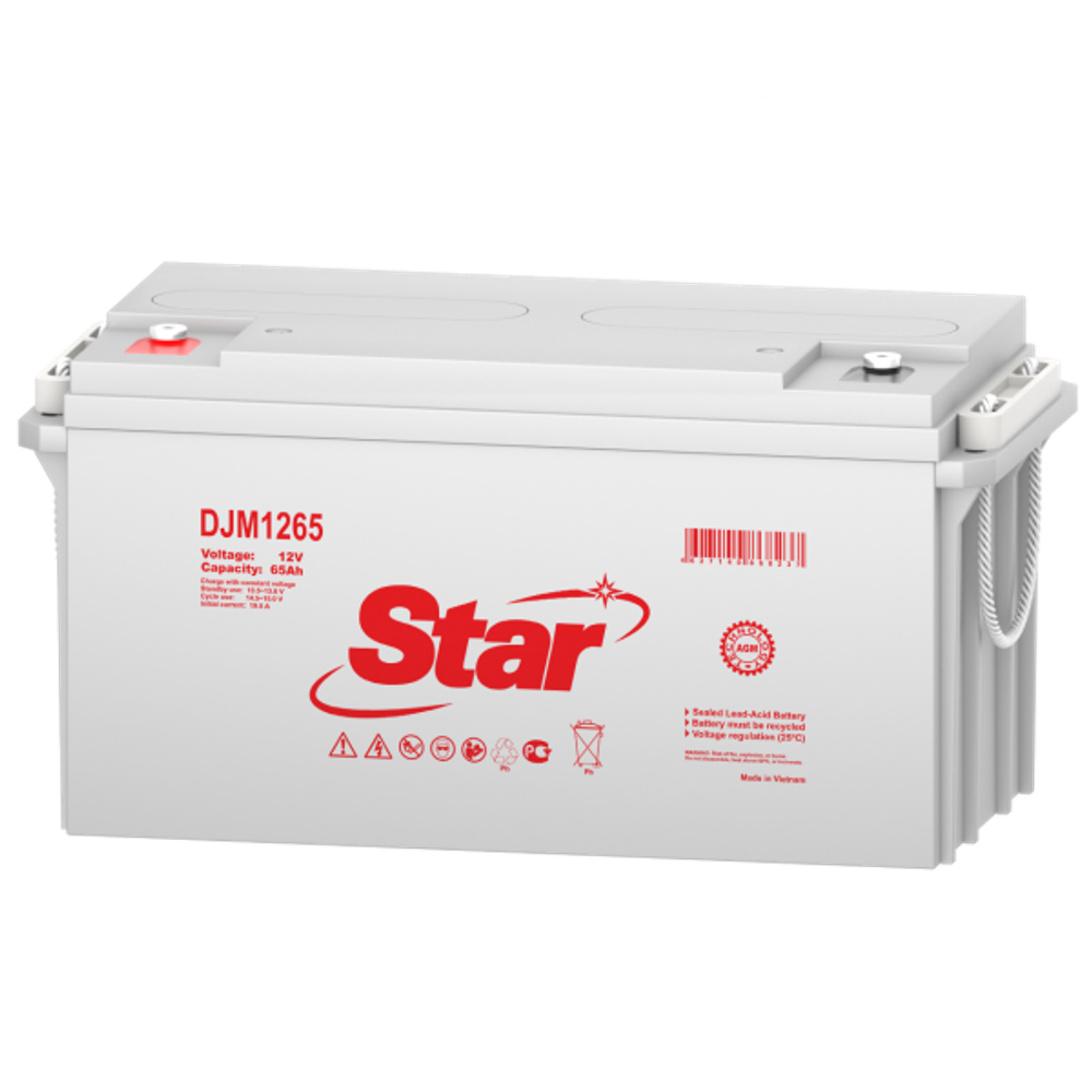 Аккумулятор STAR DJM12250