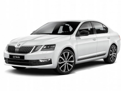 Упор (амортизатор) капота для Skoda Oсtavia 3 / А7 / FL (2013-2021) Autoinnovation.11-03