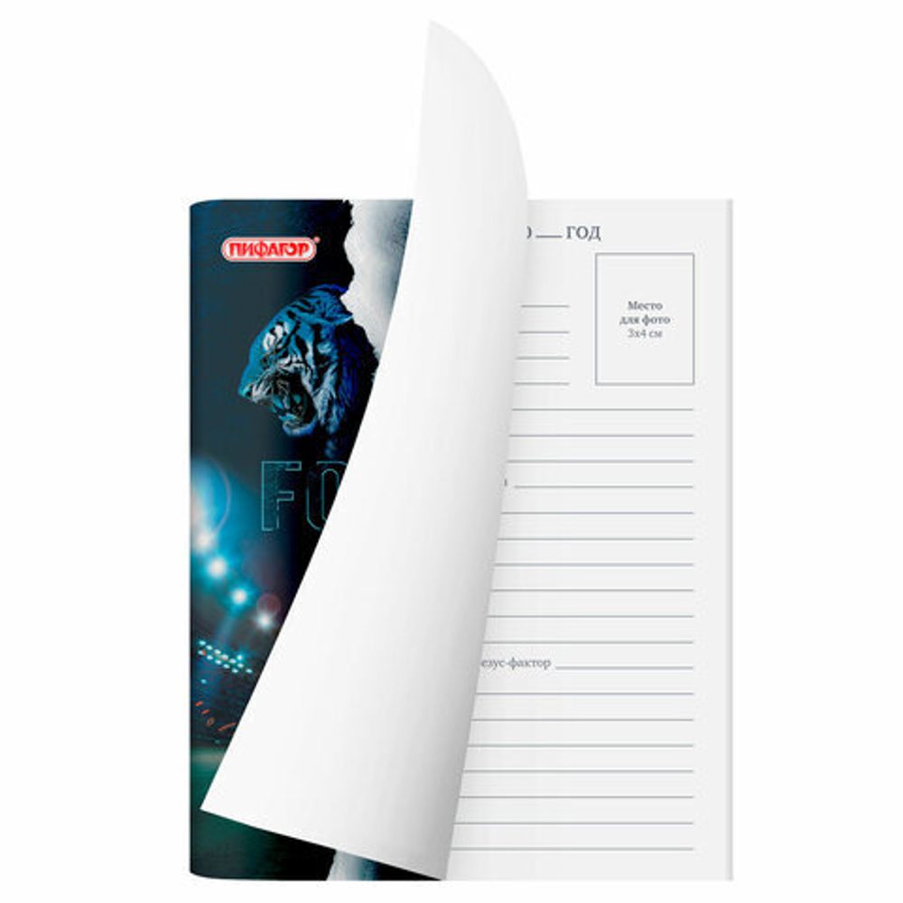 Дневник 1-11 класс 40 л., на скобе, ПИФАГОР, обложка картон, "Football", 106341