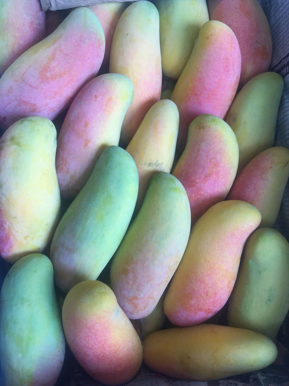 манго из Тайланда. сорт «Нам Док Май»