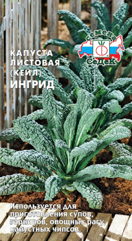 капуста Ингрид