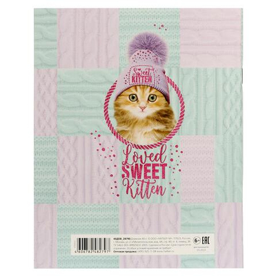 Дневник школьный (1-11) А5 40л. на скобе "Пушистое счастье" 40Д5В_28790 (Хатбер)