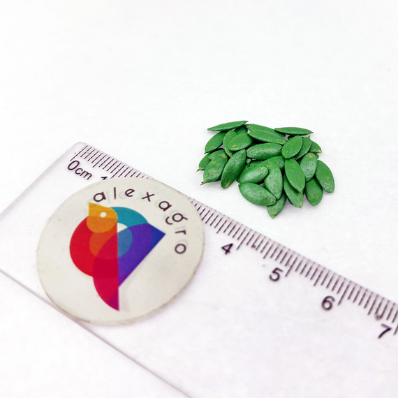 Алпака F1 семена огурца партенокарпического (Bejo /ALEXAGRO) семена – фото 8