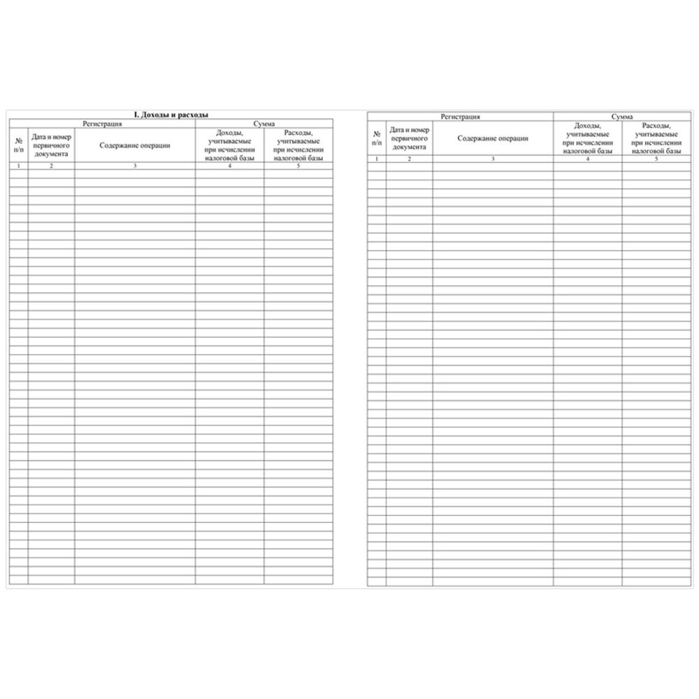 Книга учёта доходов и расходов (упрощёнка), 20 л.,Учитель