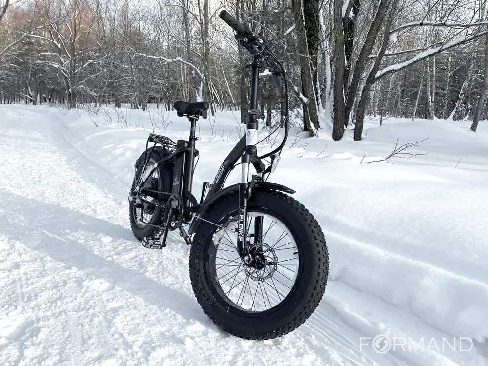 Электрофэтбайк Elbike Taiga 1 Vip 13 (Черный)