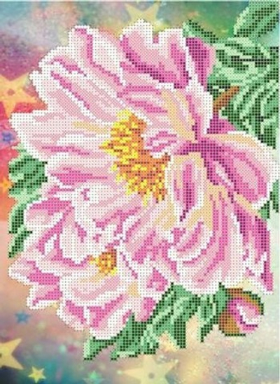 Г-1009 Магнолии